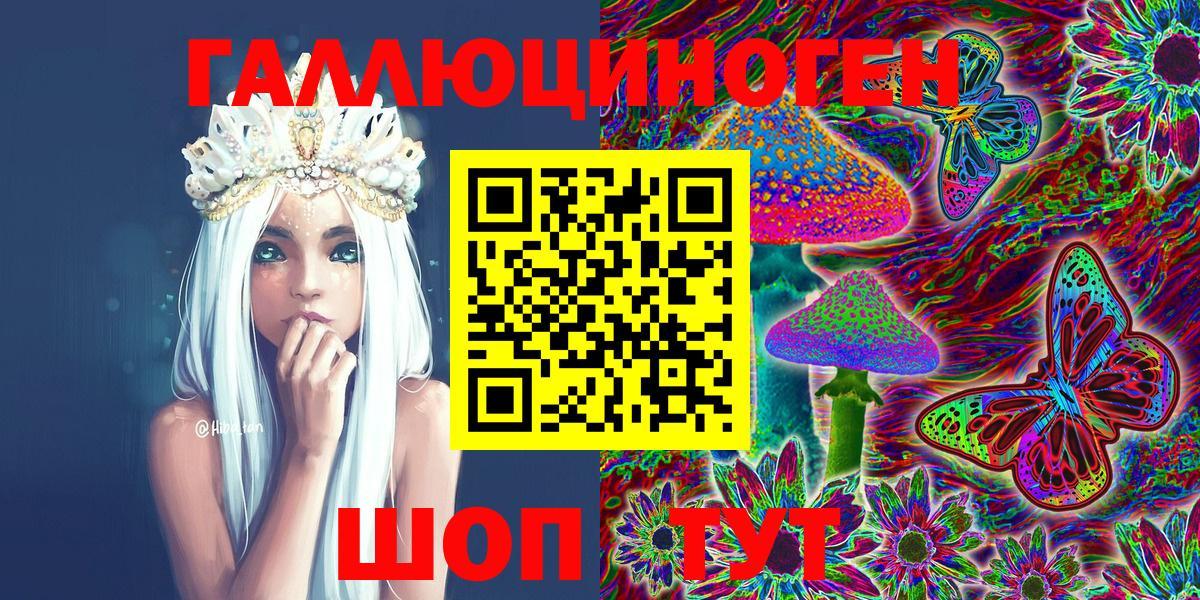Псилоцибиновые грибы Psilocybe Десногорск